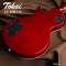 Tokai | LS201 CS (SN : 2551421)