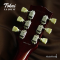 Tokai | LS201 VF (SN : 2551419)