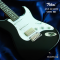 Tokai | AST-423-101-SH/R BB (SN : 241191)