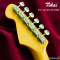 Tokai | AST-423-101-SH/M BB (SN : 240885)