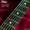 Tokai | AST-423-101-SH/R VWH (SN : 250100)