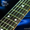 Tokai | AST-423-101-SH/R YS (SN : 241116)