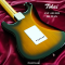Tokai | AST-423-101-SH/M GS (SN : 241107)