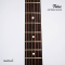 Tokai - AST52SH SFG/R