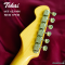 Tokai | AST-423-101-SH/R OWH (SN : 240765)