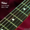 Tokai | AST-423-101-SH/R VWH (SN : 241182)