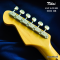 Tokai | AST-423-101-SH/R BB (SN : 241191)