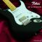 Tokai | AST-423-101-SH/M BB (SN : 240885)