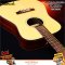 Umeda: JPN-DR201, Acoustic Guitar
