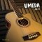 Umeda: AB-5, Acoustic Electric Bass, 5 Strings
