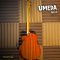 Umeda เบสโปร่งไฟฟ้า 4 สาย รุ่น AB-4 Electeic Acoustic Bass