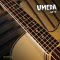 Umeda: AB-5, Acoustic Electric Bass, 5 Strings