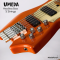 Umeda - Active Headless Bass 5 Strings (3.6 Kgs)