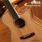 Umeda: Solid Top-40, Acoustic Guitar, 40 Inches, OM
