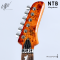UW GuitarWorks - NTB Floyrose in Honeycomb Burst