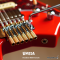Umeda - Headless Guitar HSS 2 Point Tremolo Bridge (2.8 Kgs)
