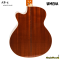 Umeda เบสโปร่งไฟฟ้า 5สาย รุ่น AB-5 Acoustic Bass