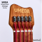 Umeda - Active Headless Bass 5 Strings Custom White (3.6 Kgs)
