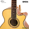 Umeda เบสโปร่งไฟฟ้า 5สาย รุ่น AB-5 Acoustic Bass