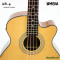 Umeda เบสโปร่งไฟฟ้า 4 สาย รุ่น AB-4 Electeic Acoustic Bass