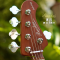 Bacchus เบส Passive - Active - WL5-QM-AC RSM/M AMBS