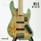Bacchus | WL5-BP-AC/M (Keiryu Blue Burst Satin)