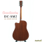 Cranberries: DC-SM2 +EQ, Dreadnought Shape (D), Cut Away, Acoustic Electric Guitar, 41 Inches