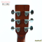 Cranberries: DC-SM2 +EQ, Dreadnought Shape (D), Cut Away, Acoustic Electric Guitar, 41 Inches