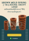 Brown_mold_spring_TB_Extra_heavy_Load