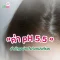 ค่า pH 5.5 สำคัญอย่างไรกับหนังศีรษะ?