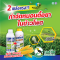 2 พลังเเรง กำจัดหนอนดื้อยาในข้าวโพด โบต้า+เอสทิเมท