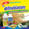 คู่หูพิทักษ์ช่อดอกมะม่วง เอสทีม ทรู ไฮ-แคลเซียม + คาร์บามิน