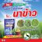 บอกลา เชื้อราในนาข้าวใช้ บลูเซต
