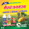 สับปะรดผลสวย เนื้อแน่น ตาไม่แตก ปุ๋ยเอสทีม (แดง) + คาร์บามิน หรือ เอสทีม ทรู ไฮ-แคลเซียม
