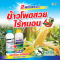 สเตลล่า มาริส + คอนทีน่า ข้าวโพดสวย ไร้หนอน