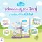 KINDEE แผ่นติดกันยุง( 4 pcs ) (0+)