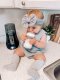 BABY BREZZA เครื่องอุ่นนม อุ่นอาหาร แบบพกพา Portable Bottle & Breastmilk Warmer