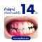 KINDEE ยาสีฟันออร์แกนิค ฟลูออไรด์ 1000 PPM สูตรพรีแอนด์โพรไบโอติกส์ (6m+)
