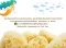 Bellini Sea Sponge Silk Fine ฟองน้ำธรรมชาติอาบน้ำเด็ก จากทะเลเมดิเตอร์เรเนียน ผิวแพ้ง่าย