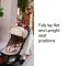 Bugaboo Butterfly 2 รถเข็นเด็กพับเล็ก Cabin Size ใช้ได้ตั้งแต่แรกเกิด น้ำหนัก 7.3 กก.