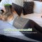 Haakaa เข็มขัดรัดพยุงครรภ์และหน้าท้องหลังคลอด Pregnancy Support Wrap