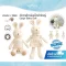 John N Tree ตุ๊กตาผ้าฝ้าย สำหรับเด็กแรกเกิด Large Baby Doll