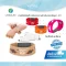 LittleLife Kids Identity Wristband สายรัดข้อมือเด็ก พร้อมป้ายข้อมูล 1-3 ปี