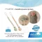 MUSHIE สายคล้องจุกหลอก ซิลิโคน Pacifier Clip รุ่น Hera