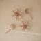 Mushie Bath Play Set Water Wheel ของเล่นอาบน้ำ กังหันน้ำ 10M+