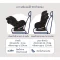 Nuna คาร์ซีทเด็ก Rava ติดตั้งง่ายด้วยสาย Belt หรือ ISOFIX แรกเกิด - 9 ขวบ