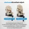 SEEC คาร์ซีทเด็ก รุ่น ZERO MAX 360E With Canopy (0-12y)