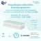 SNOW OWL Gentle FlowZz เบาะนอนเด็ก ระบายอากาศ TENCEL