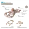 Taf Toys Tummy Time First หมอนฝึกคว่ำ 2-in-1 เสริมพัฒนาการกล้ามเนื้อคอและหลัง สำหรับเด็กแรกเกิด - 6 เดือน