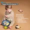 Taf Toys ชุดเครื่องดนตรี 4 ชิ้น Musical Discovery Kit ของเล่นดนตรี (3m+)